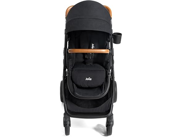 Joie Ginger and Mint Latch Travel
