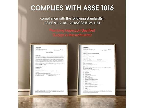 Esnbia Tub Shower Faucet Set