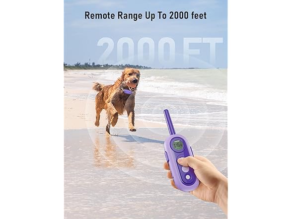 PLAYPET Dog Shock Collar, 2000FT