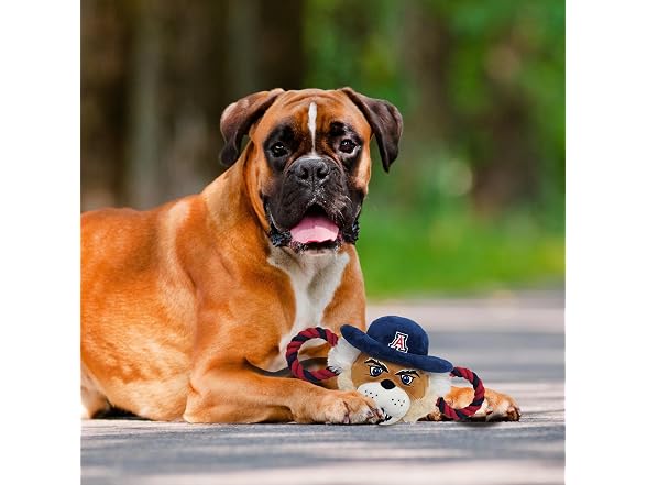 Pets First NCAA University of Arizona Wildcat
