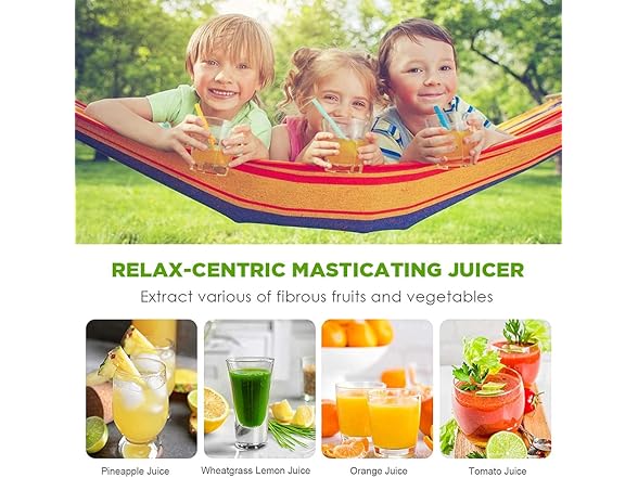 Qisebin Slow Juicer Masticating Machine