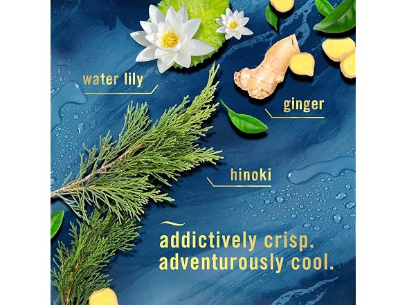 Febreze Plug Air Freshener
