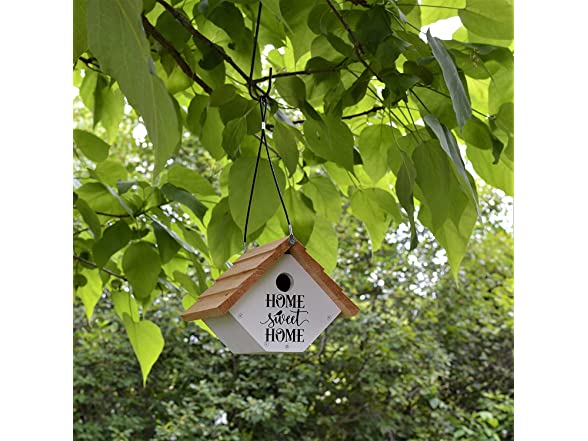 Wild Wings Farmhouse Wren House