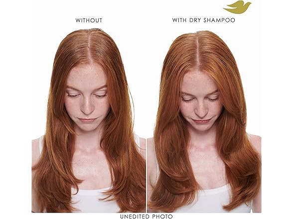 (2 Pack) Dove Dry Shampoo 2 Count