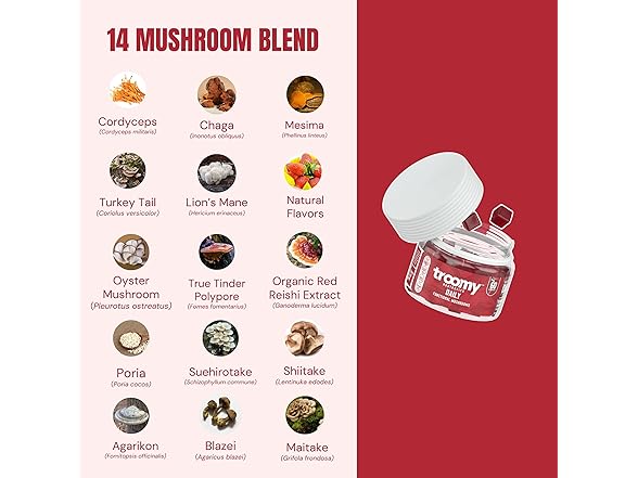 Troomy Daily 14 Mushroom Blend Gummie