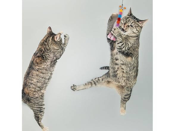 2pcs Cat Wand Replacement for Pet Interactiv