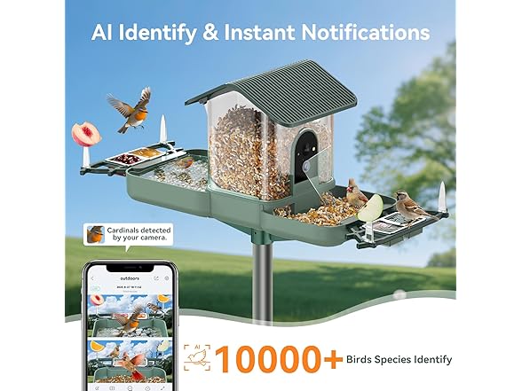 KUIKEO Bird Feeder with Camera
