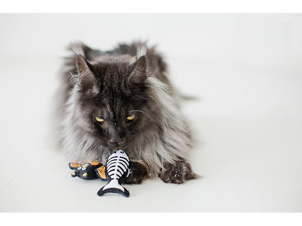 Pearhead Pearhead Halloween Halloween Cat Toys