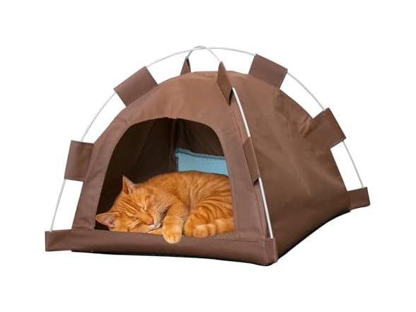 Cat Tent House