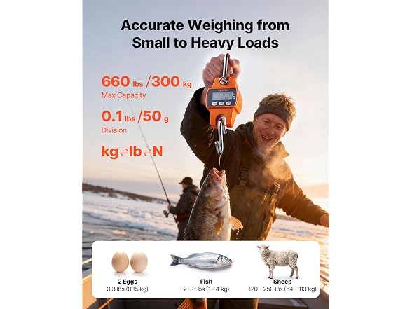 Digital Crane Scale, 660 lbs/300 kg, Industrial