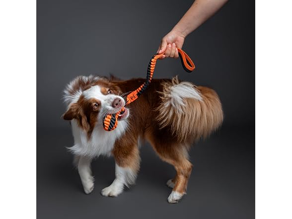NOAH & PAW Luxury Dog Toy, Dog Rope Toy- Sling, Black