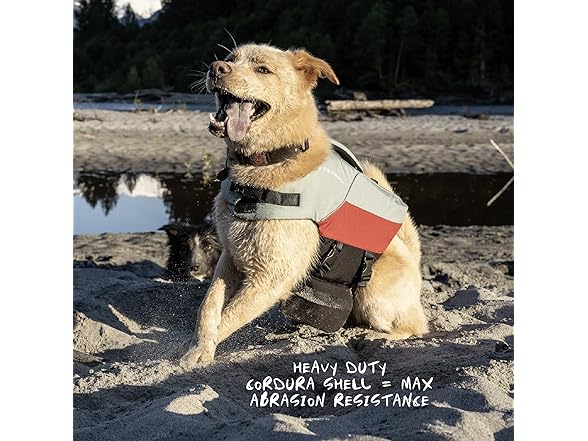 Astral BirdDog Canine Life Jacket - Durable