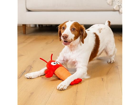 Outward Hound Coated Critterz Dog Toy – Plush