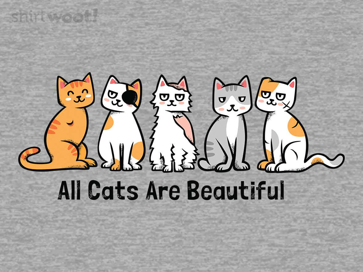 All Cats Are Beautiful - Gallery 4
