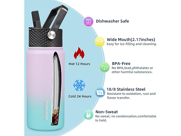 BJPKPK 2 Pack Insulated Water Bottle with Straw Lid