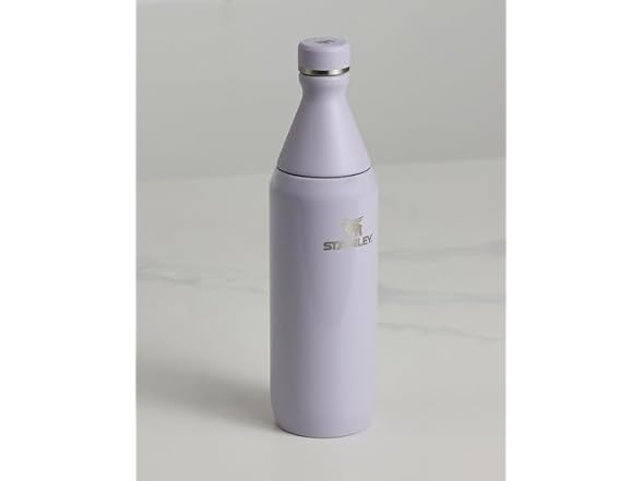 Stanley All Day Slim Bottle 20oz - Purple Dust Gloss
