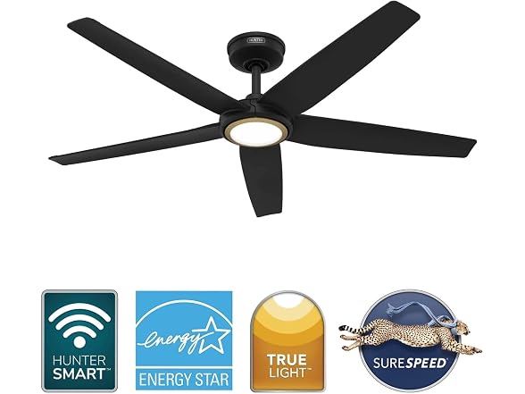 Hunter Fan 52 inch Ceiling Fan with Light, Matte Blk