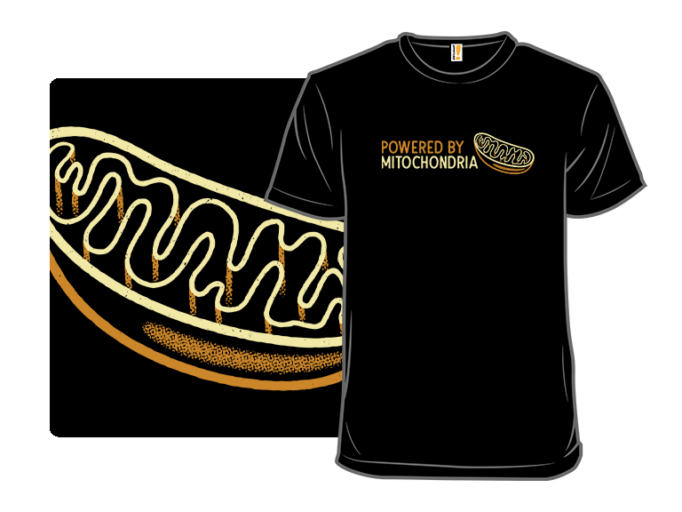 Powered By Mitochondria