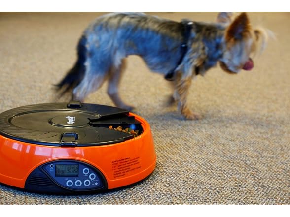 Qpets Programmable Auto Pet Feeder