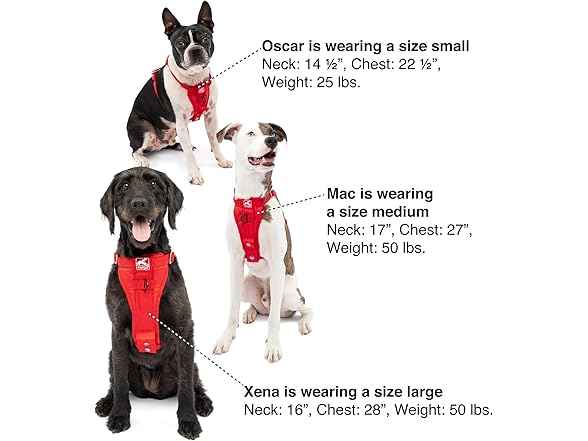 Kurgo Tru-Fit Dog Car Harness - Black XL