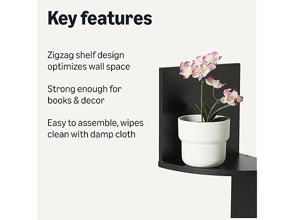 Amazon Basics 5-Tier Corner Shelf