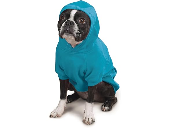 Zack & Zoey Basic Hoodie for Dogs
