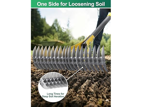 Thatch Rake, 2-in-1