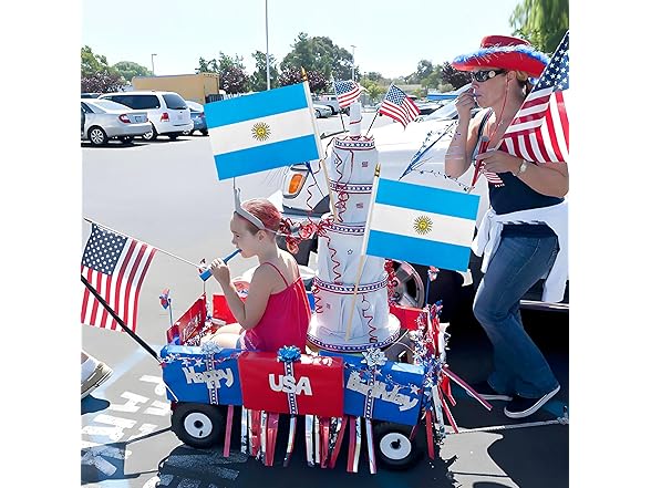 WEITBF Argentina Flags 8x12" 12pc