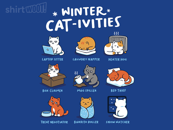 Winter Cat-ivities