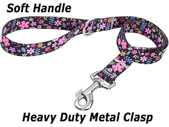HQYDDMI Dog Collar and Leash Set M