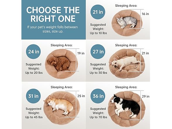 Calming Donut Dog & Cat Bed