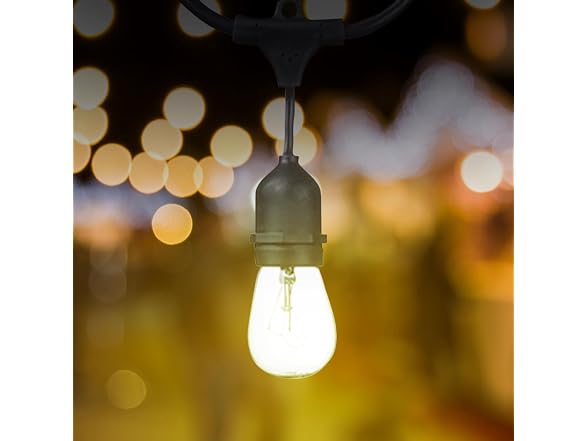 Globe Electric Dublin Collection, 48', S14, LED String Light Set