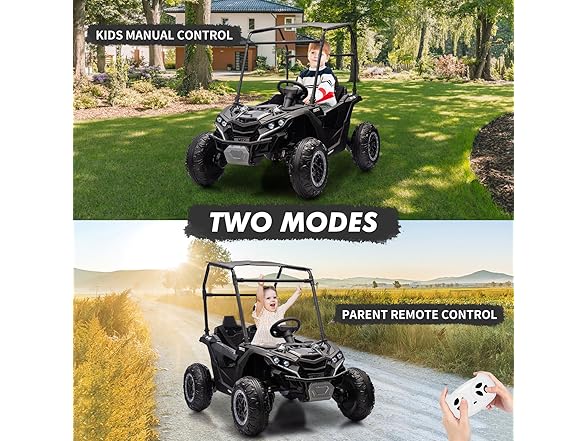 2-Seater Kids Ride On Utv, 24V 4WD