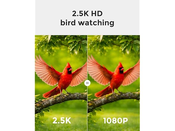 Devo Solar Smart Bird Feeder