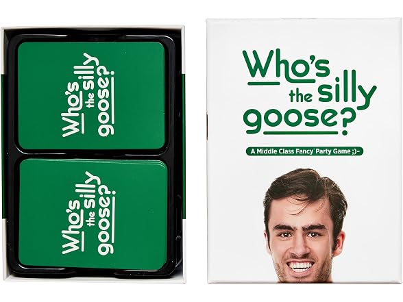 DSS Games Who's The Silly Goose Game