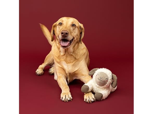 Fringe Fringe Studio You Herd Me Plush Dog Toy