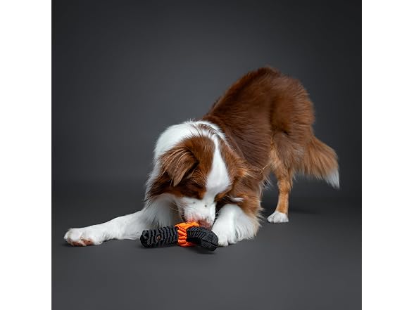 NOAH & PAW Luxury Dog Toy, Dog Rope Toy- Y Flyer, Black
