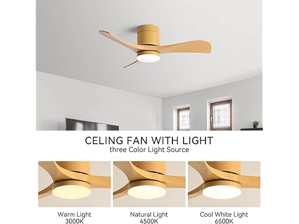 HJBRAND 38 Inch Ceiling Fan with Light