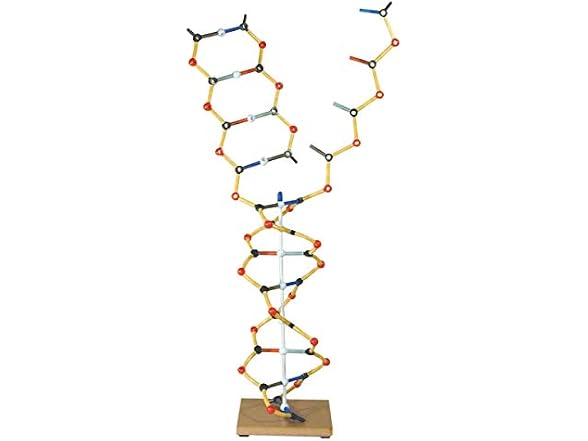 Cochranes of Oxford Science And Nature Orbit Dna-rna Kit 0
