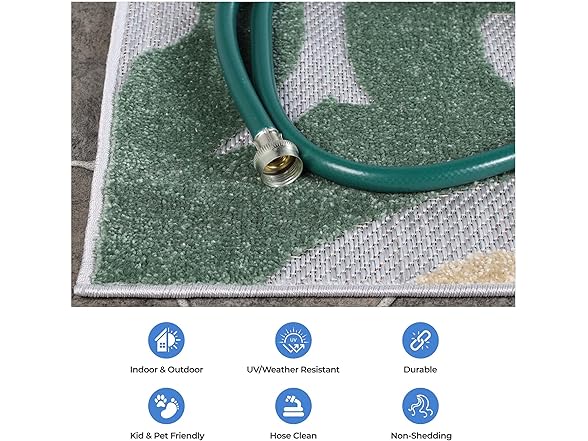 Superior Aldaine Indoor Outdoor Area Rug 4' x 6'