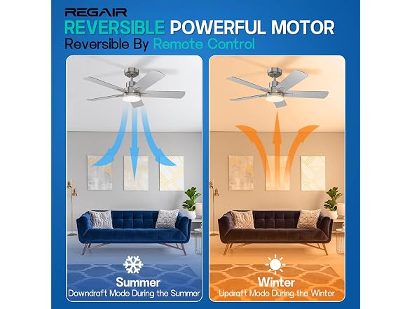 Regair Ceiling Fan