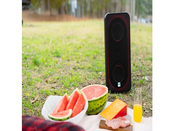 Shockwave 200 Wireless Speaker