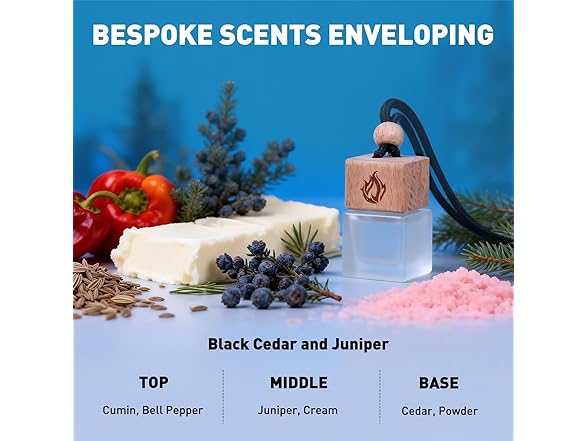 POITEAG Car Air Freshener