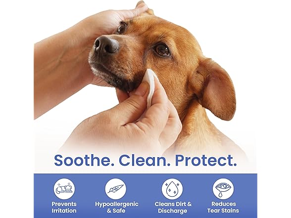 AKC Coconut Scent Pet Eye Wipes, 100Ct