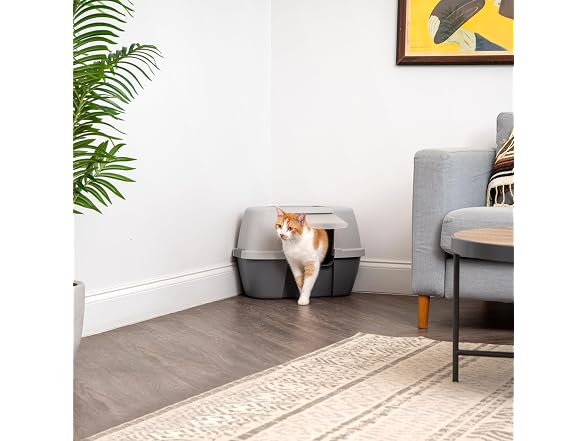 IRIS USA Cat Litter Box - Enclosed Corner Litter Box