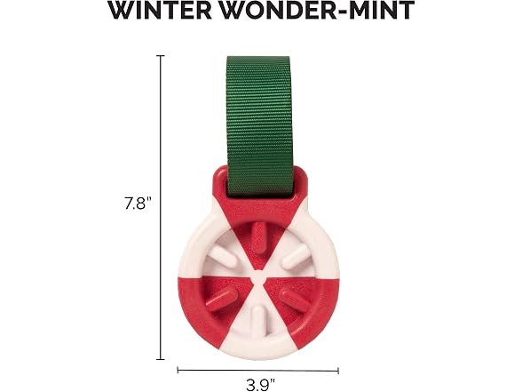 Furhaven Slow Feeder Fillable Dog Toy