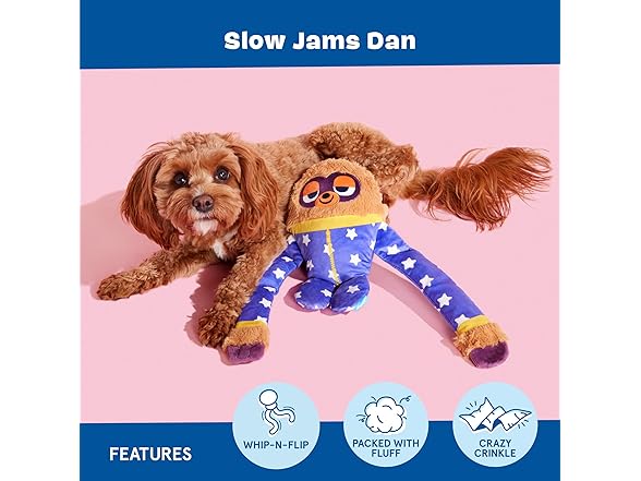 Barkbox Slow Jams Dan Dog Toy Plush Sloth
