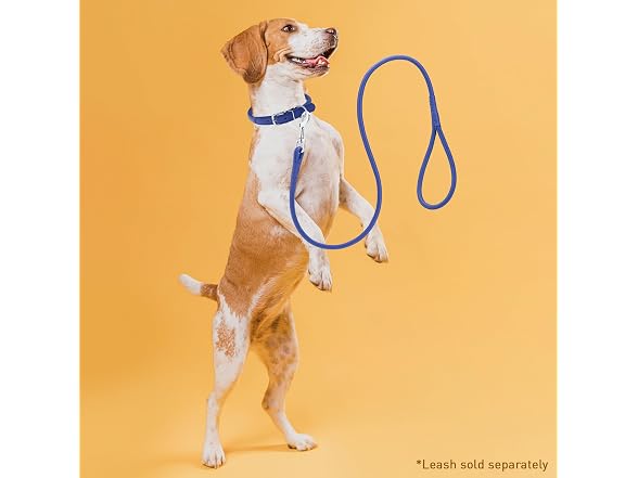 Dogline 1/3 by 13-16" Round Leather Collar,