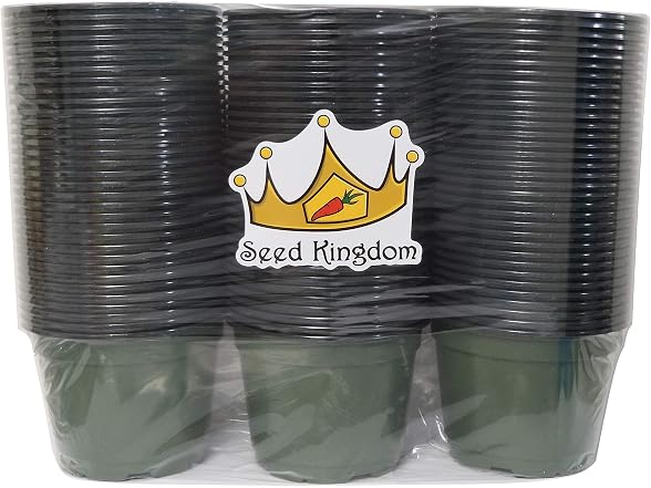 Seed Kingdom 6" Plastic Pots 100pk