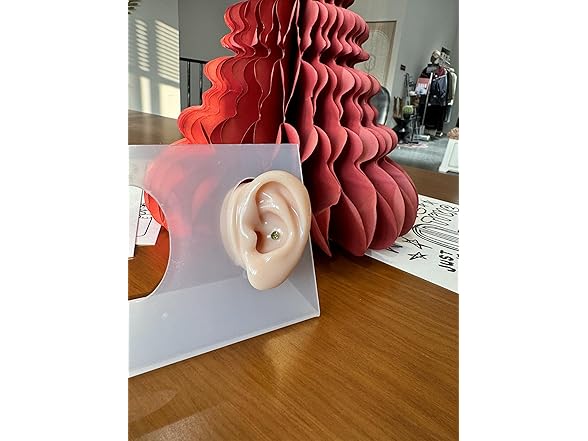 J.aey Titanium Earrings